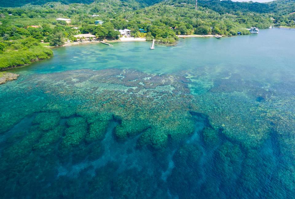 Vivaro Luxury Beachfront with Amazing Private Beach! - West End, Honduras