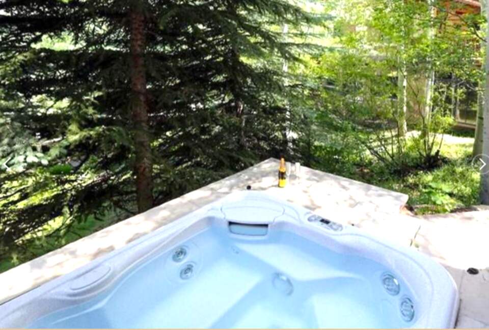 Beaver Creek Luxury Mountain Retreat - Beaver Creek, Colorado