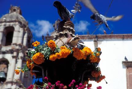 EXCLUSIVE STAY EXPERIENCE - Fiesta De Fin de Ano New Years in San Miguel, Mexico