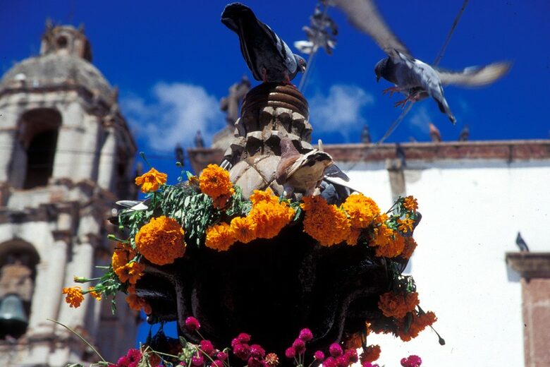 EXCLUSIVE STAY EXPERIENCE - Fiesta De Fin de Ano New Years in San Miguel, Mexico