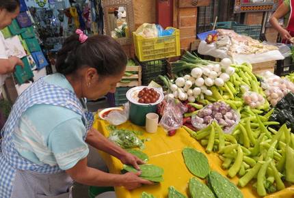 EXCLUSIVE STAY EXPERIENCE - Fiesta De Fin de Ano New Years in San Miguel, Mexico