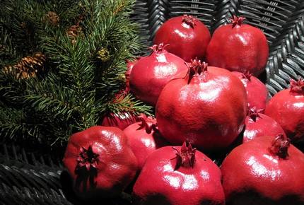 EXCLUSIVE STAY EXPERIENCE - Fiesta De Fin de Ano New Years in San Miguel, Mexico