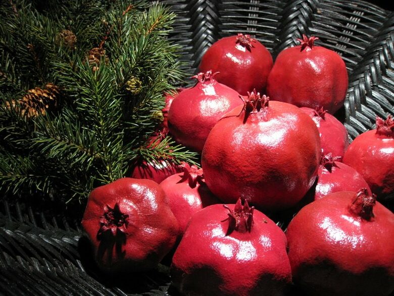 EXCLUSIVE STAY EXPERIENCE - Fiesta De Fin de Ano New Years in San Miguel, Mexico