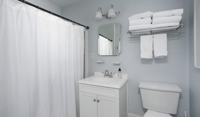 The Mouse House: Downtown Greenville - Greenville, South Carolina