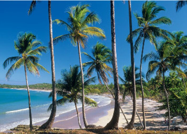 Beach Front Property in Villa Oberoi Resort -Santo Andre - Bahia - Santo Andre, Brazil