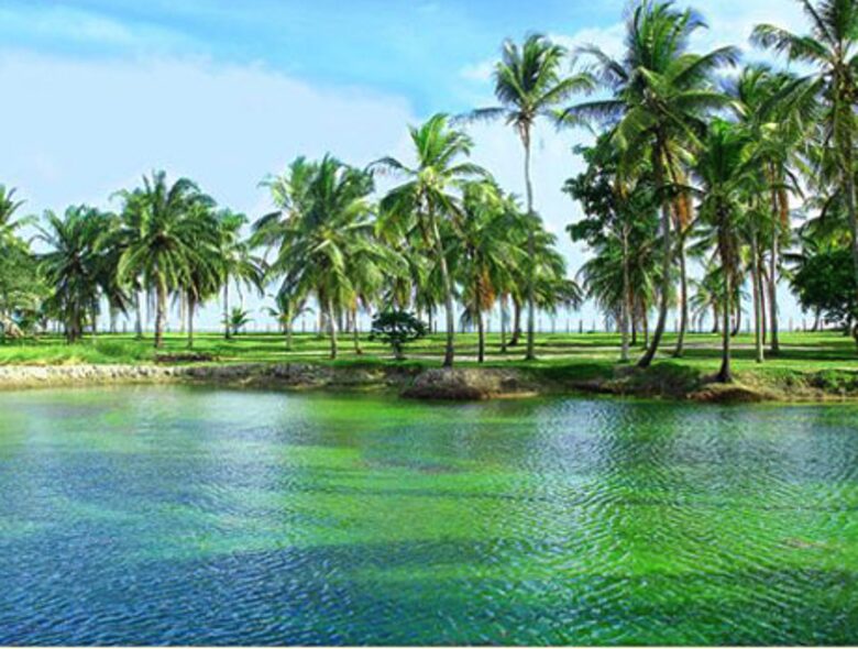 Beach Front Property in Villa Oberoi Resort -Santo Andre - Bahia - Santo Andre, Brazil