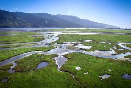 Magical Bolinas Retreat - Bolinas, California
