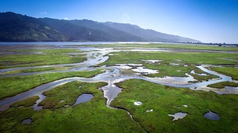 Magical Bolinas Retreat - Bolinas, California