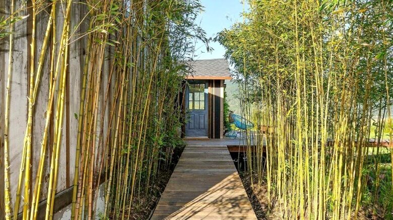 Magical Bolinas Retreat - Bolinas, California