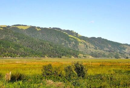Magical Bolinas Retreat - Bolinas, California