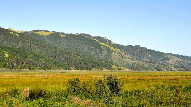 Magical Bolinas Retreat - Bolinas, California