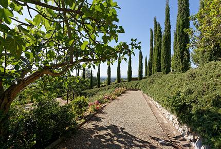 La Ginestra - Casciana Terme, Italy