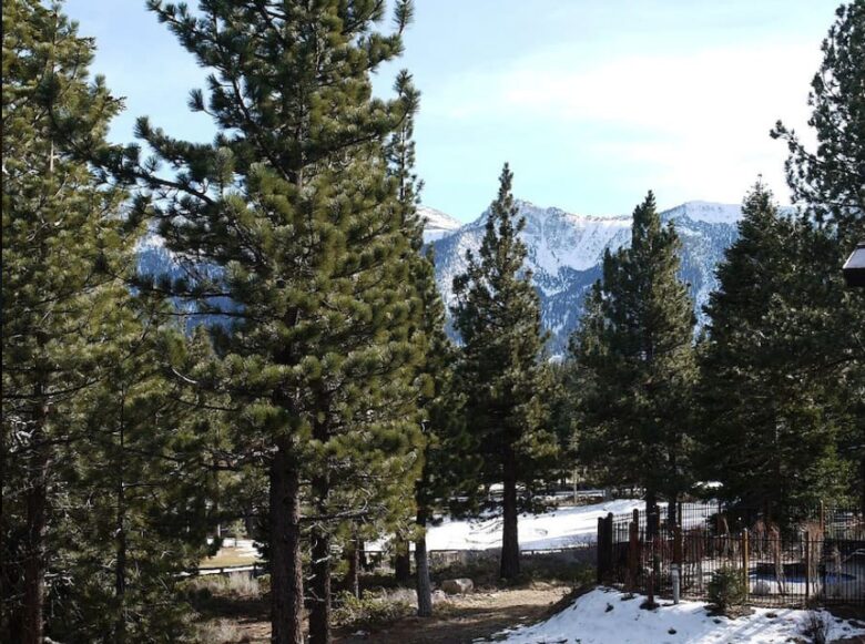 Solstice Mammoth Lakes - Mountain High Sierra Retreat - Mammoth Lakes, California