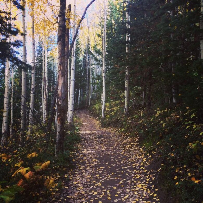 Park City Peak - Park City, Utah