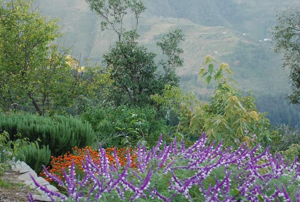 Villa Loshegani - Nainital, India