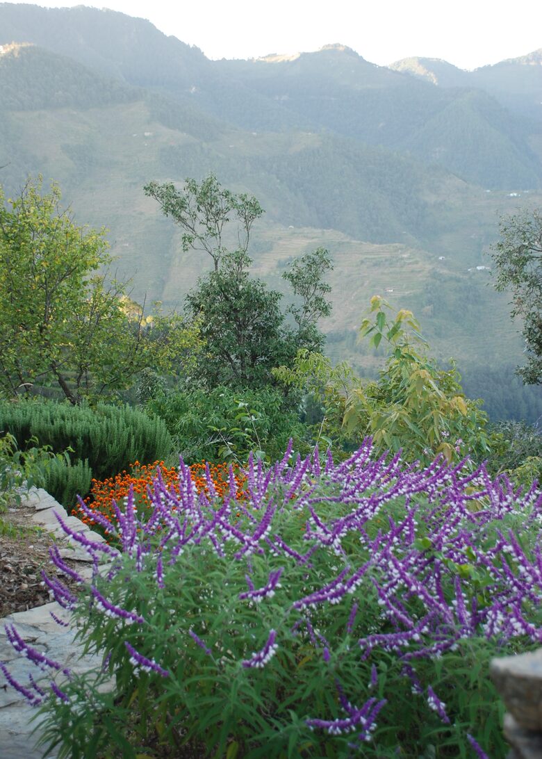 Villa Loshegani - Nainital, India