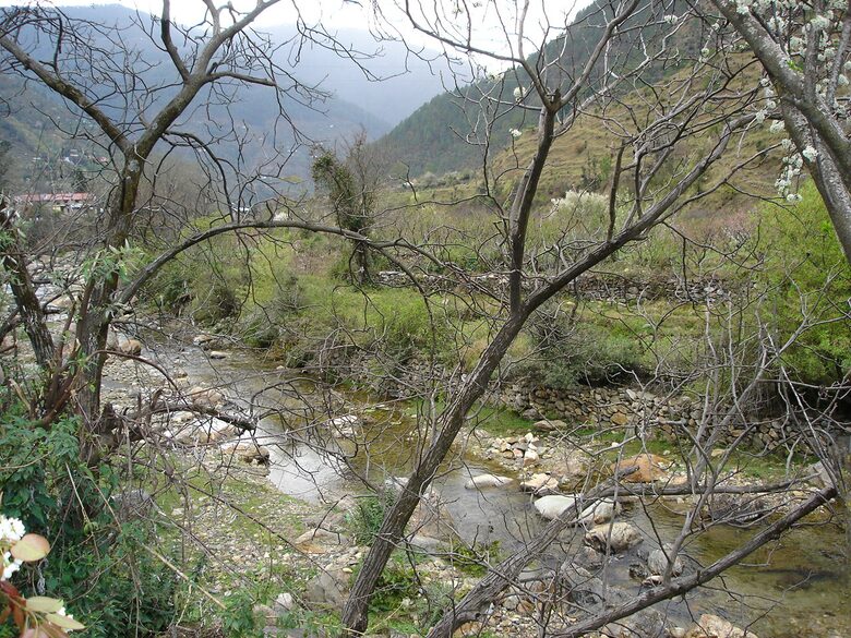 Villa Loshegani - Nainital, India