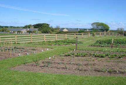 Rennington House - Alnwick, United Kingdom