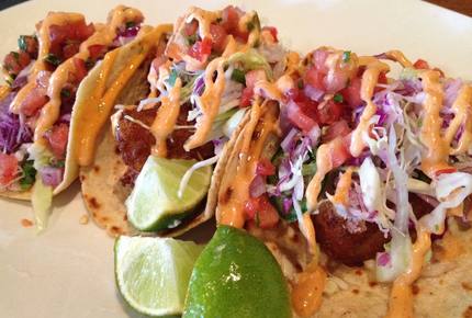 EXCLUSIVE STAY EXPERIENCE - Day of the Dead in San Miguel, Mexico