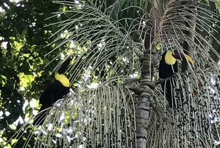 Casa Alta Vista - Dominical, Costa Rica