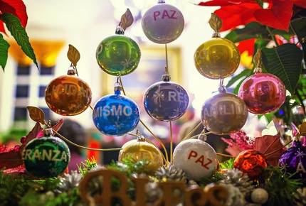 EXCLUSIVE STAY EXPERIENCE - San Miguel Christmas Festival, Mexico