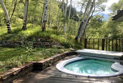 Telluride Town Ski Haven - Telluride, Colorado