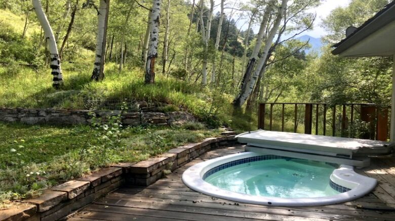 Telluride Town Ski Haven - Telluride, Colorado