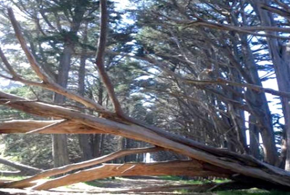 Moss Beach Oceanfront - Moss Beach, California