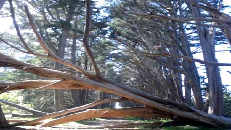 Moss Beach Oceanfront - Moss Beach, California