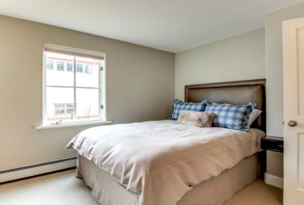 Luxury In-Town Condo - Telluride, Colorado