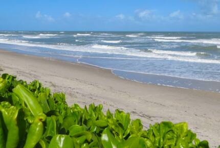 Sea Oaks Beach Villa - Vero Beach, Florida