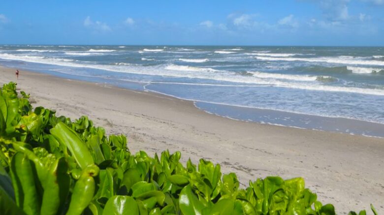 Sea Oaks Beach Villa - Vero Beach, Florida