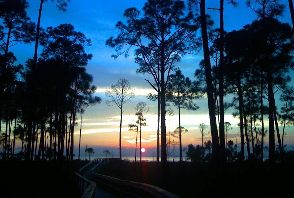 Bay Front Beauty - Miramar Beach, Florida