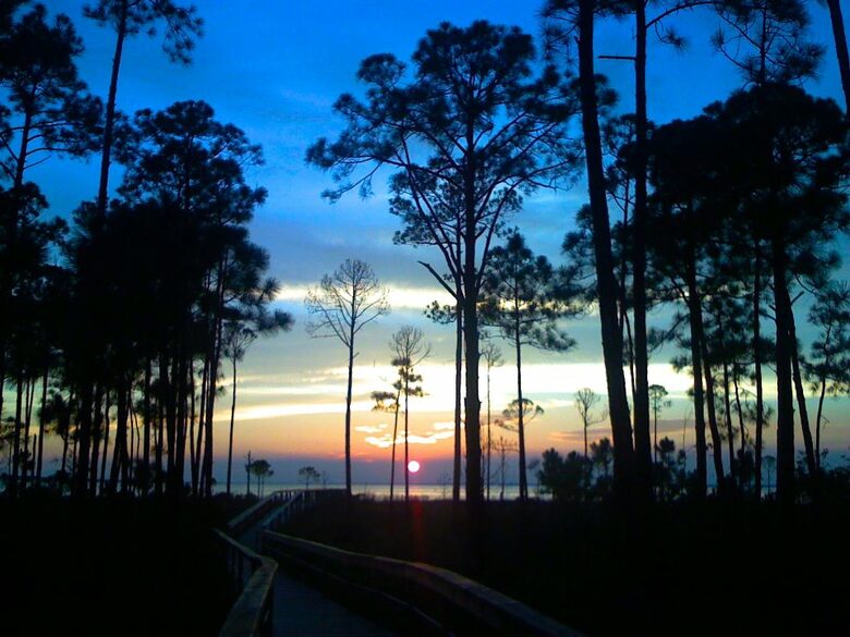 Bay Front Beauty - Miramar Beach, Florida