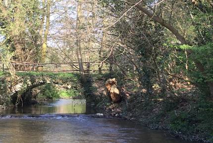 Dusseldorf Villa - Ratingen - Dusseldorf, Germany
