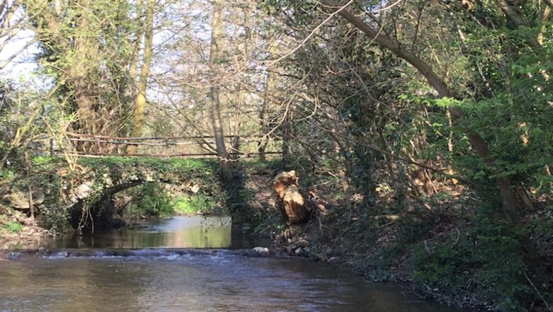 Dusseldorf Villa - Ratingen - Dusseldorf, Germany