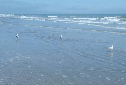 Isle of Palms Escape - Isle of Palms, South Carolina