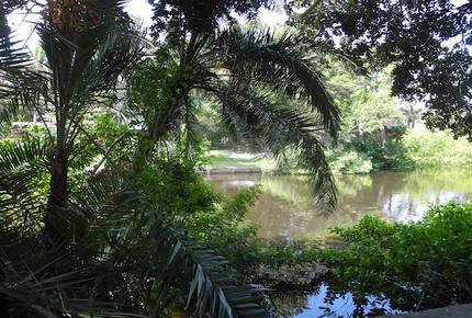 On the Bayou - North West Bradenton, Florida