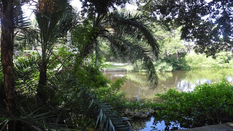 On the Bayou - North West Bradenton, Florida
