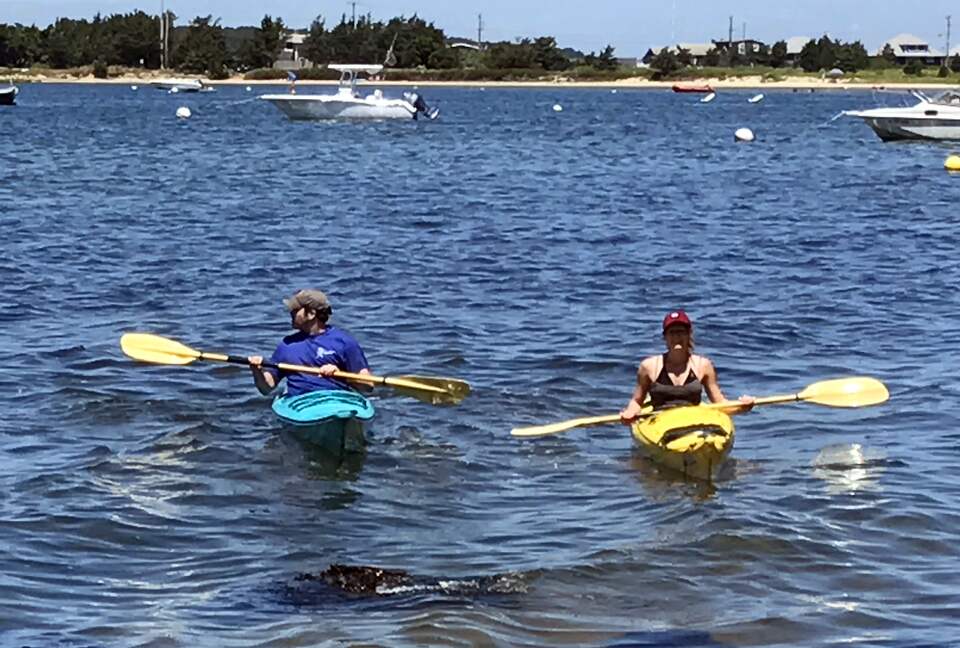 Martha's Vineyard Waterfront Sunsets - Oak Bluffs, Massachusetts