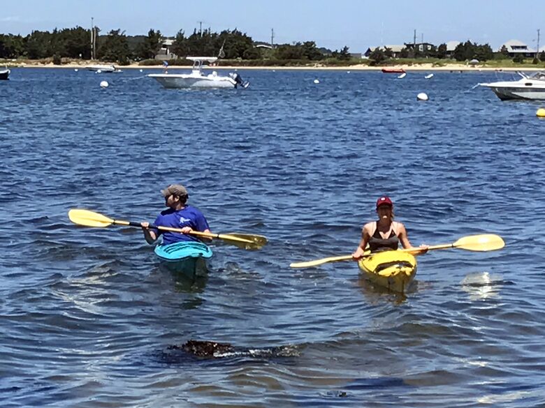 Martha's Vineyard Waterfront Sunsets - Oak Bluffs, Massachusetts