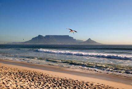 EXCLUSIVE STAY EXPERIENCE - Taste of Cape Town & Whiskey Fest, South Africa