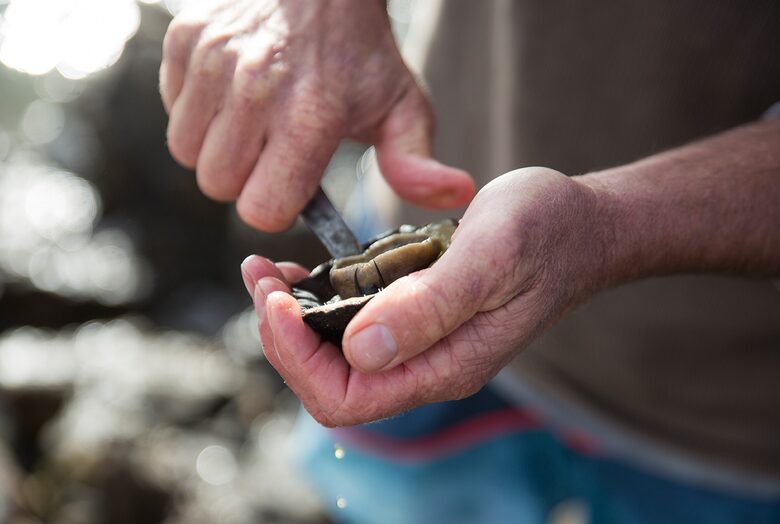 EXCLUSIVE STAY EXPERIENCE - Taste of Cape Town & Whiskey Fest, South Africa