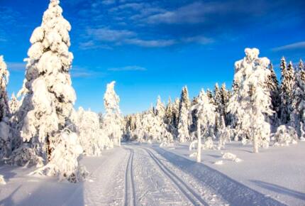 Home Exchange in Beitostølen, Norway