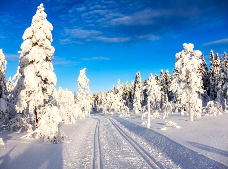 Home Exchange in Beitostølen, Norway