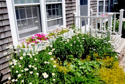 Honeysuckle Cottage Property - 4 Bedrooms plus 2 Lofts - Just Blocks to Center of Town! - Nantucket, Massachusetts