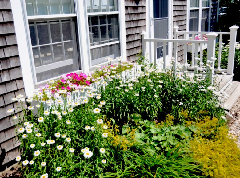 Honeysuckle Cottage Property - 4 Bedrooms plus 2 Lofts - Just Blocks to Center of Town! - Nantucket, Massachusetts