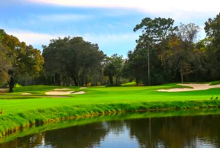 Luxury Residence at Innisbrook Golf and Spa Resort - Palm Harbor, Florida