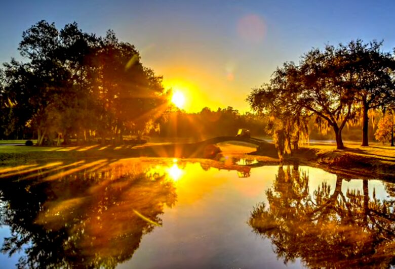 Luxury Residence at Innisbrook Golf and Spa Resort - Palm Harbor, Florida