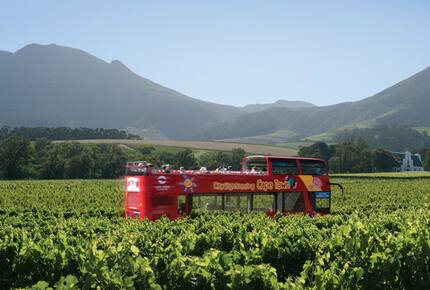 EXCLUSIVE STAY EXPERIENCE - Taste of Cape Town & Whiskey Fest, South Africa